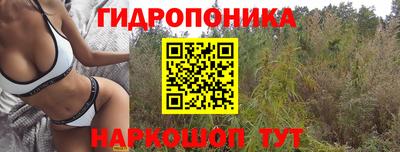 мет Боровичи