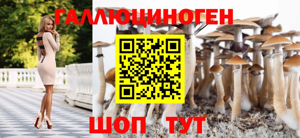 Псилоцибиновые грибы GOLDEN TEACHER  Вход с VPN  Артёмовский 